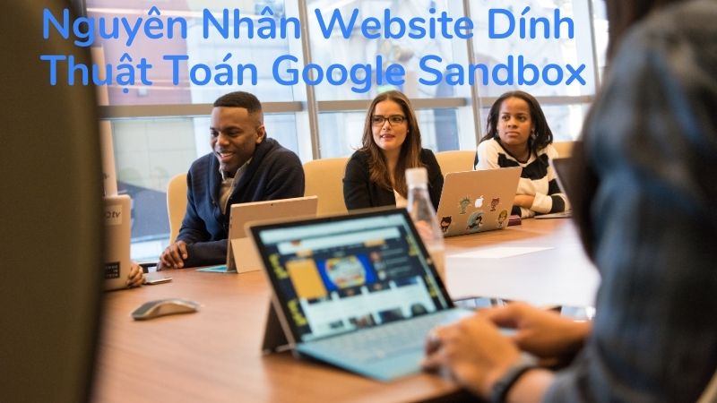Nguyên Nhân Website Dính Thuật Toán Google Sandbox