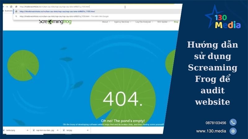 Hướng dẫn sử dụng Screaming Frog để audit website